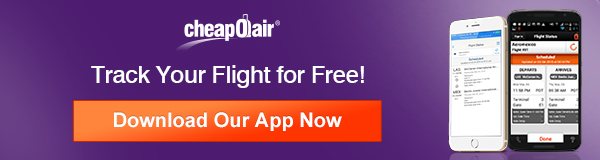 Track Your Flight for Free