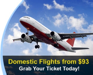 Domestic Flights from $93