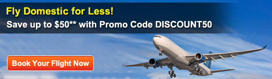 Fly Domestic for Less!